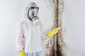 Best Industrial Mold Remediation  in Middleton, WI